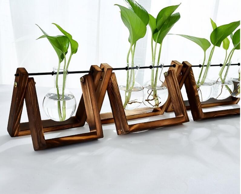 Elegant Glass Tabletop Plant Decor