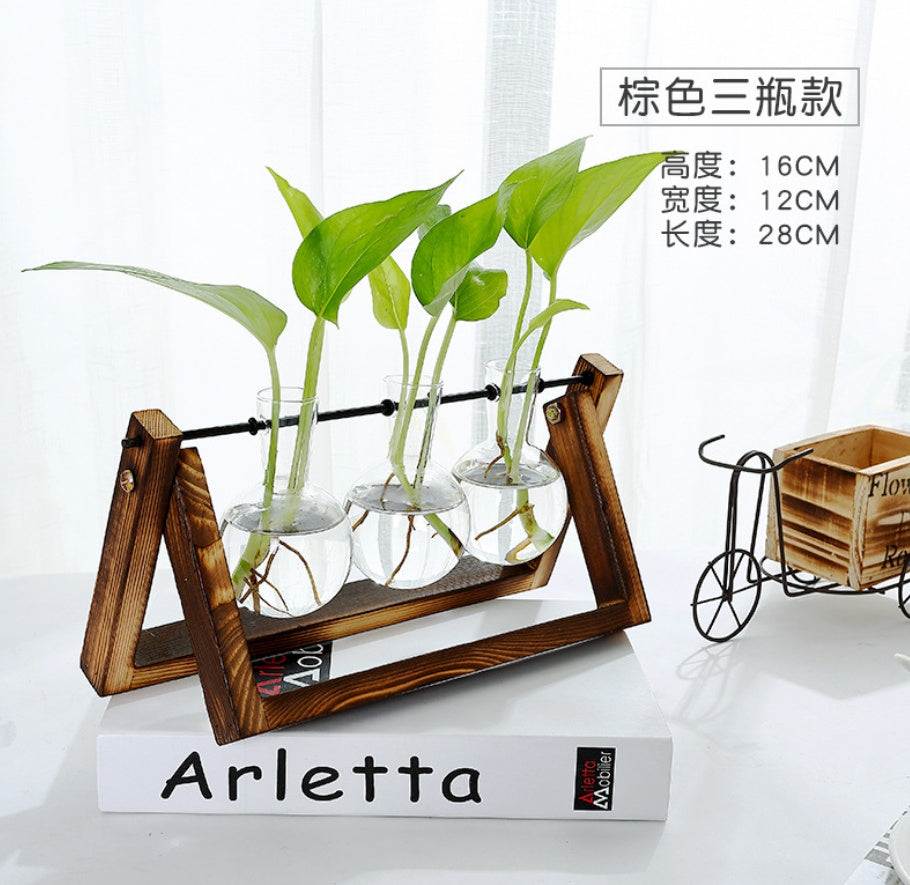 Elegant Glass Tabletop Plant Decor