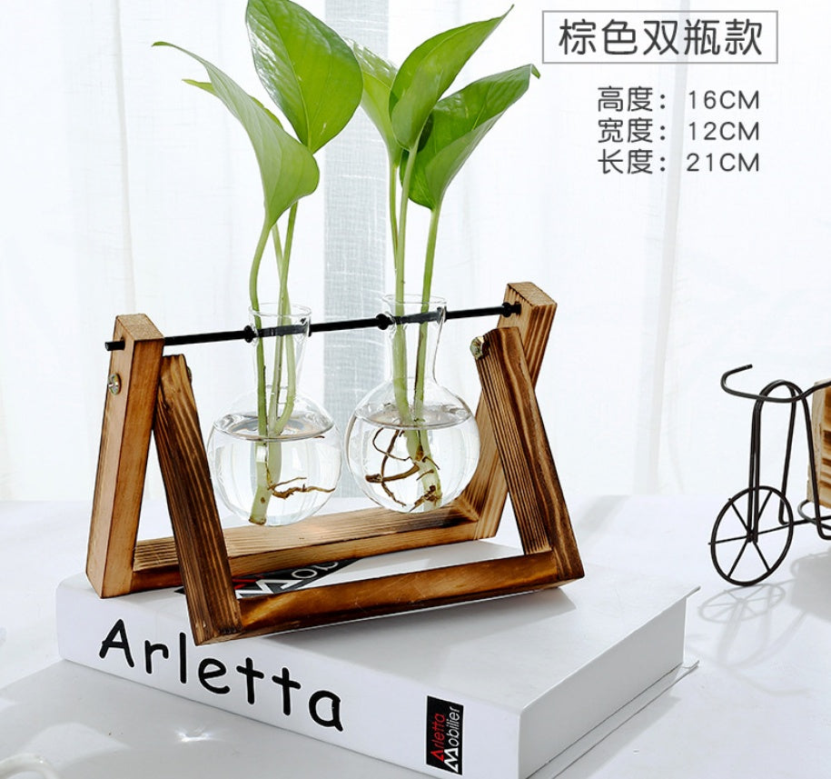 Elegant Glass Tabletop Plant Decor